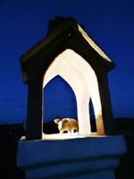 Schaugarten Saubergen Familie Österreicher Saubergen-Schweinchen beleuchtet bei Nacht